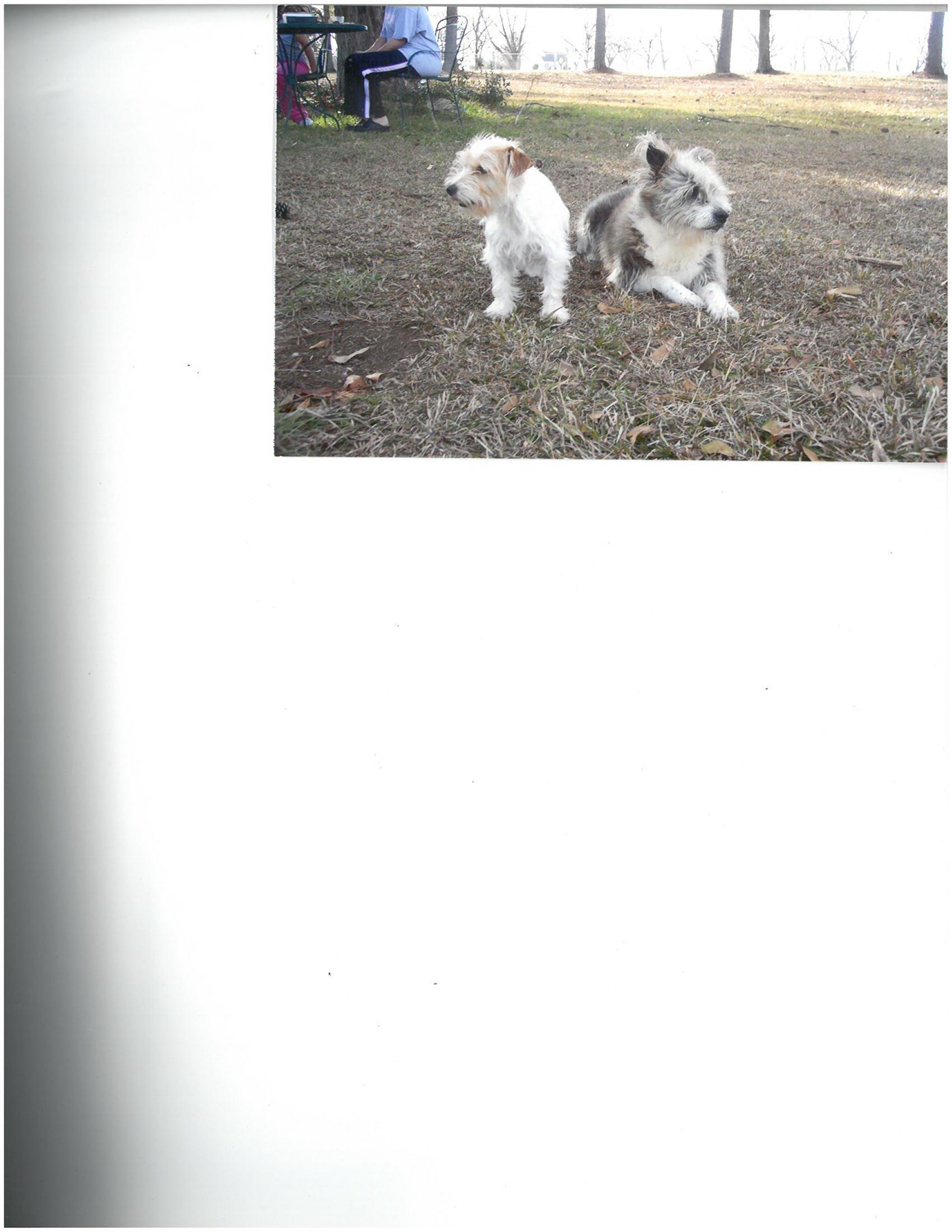 Obituario de Mary Alice White