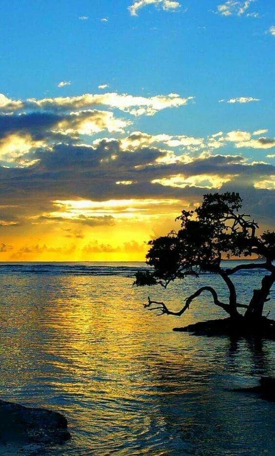 Obituary of Mario Urrutia Torres