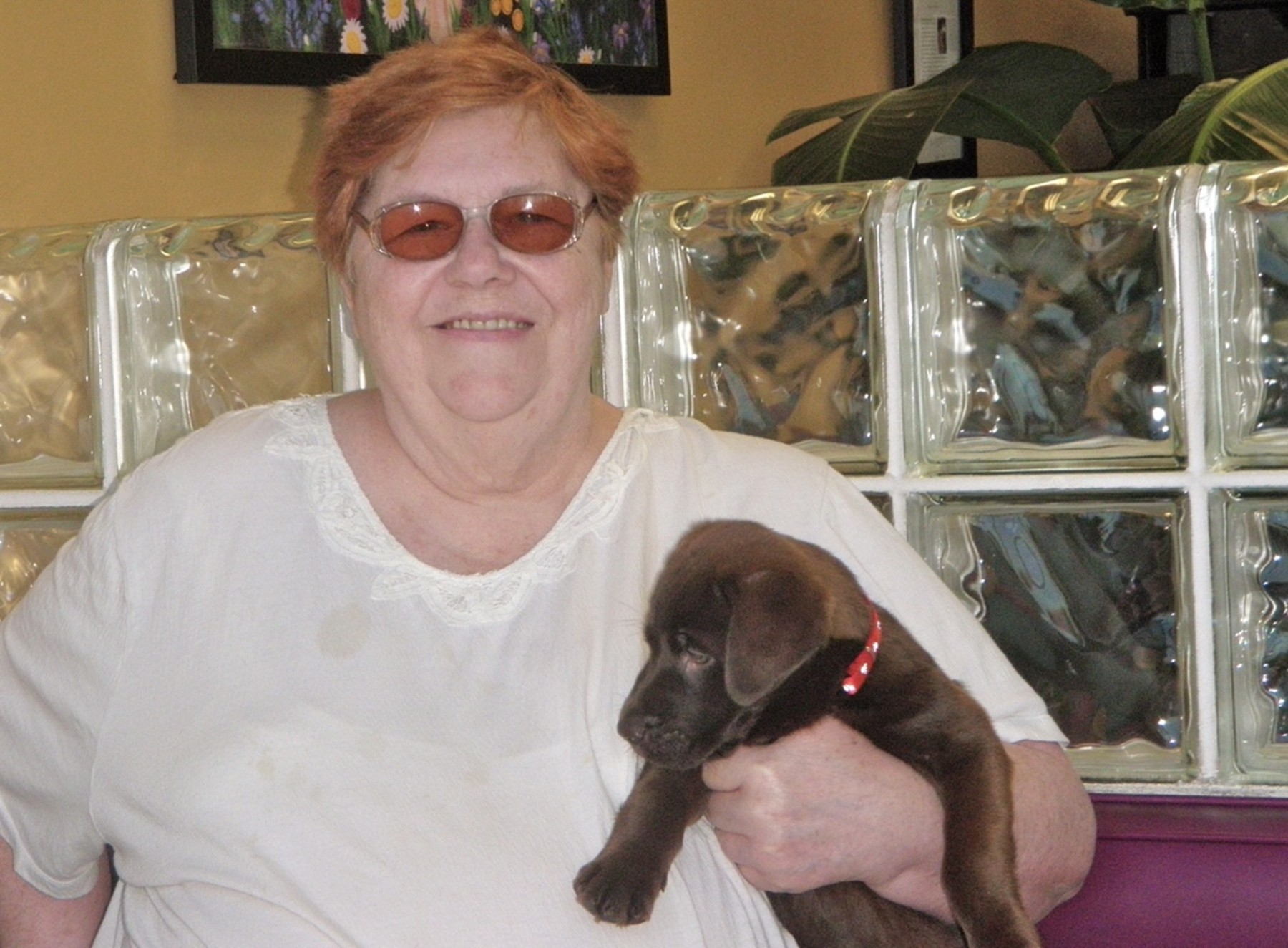 Obituary of Sarah Elizabeth Jubb