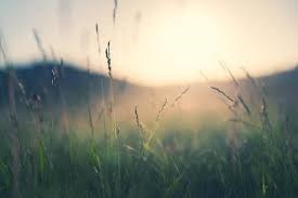 Obituario de John J Rangel