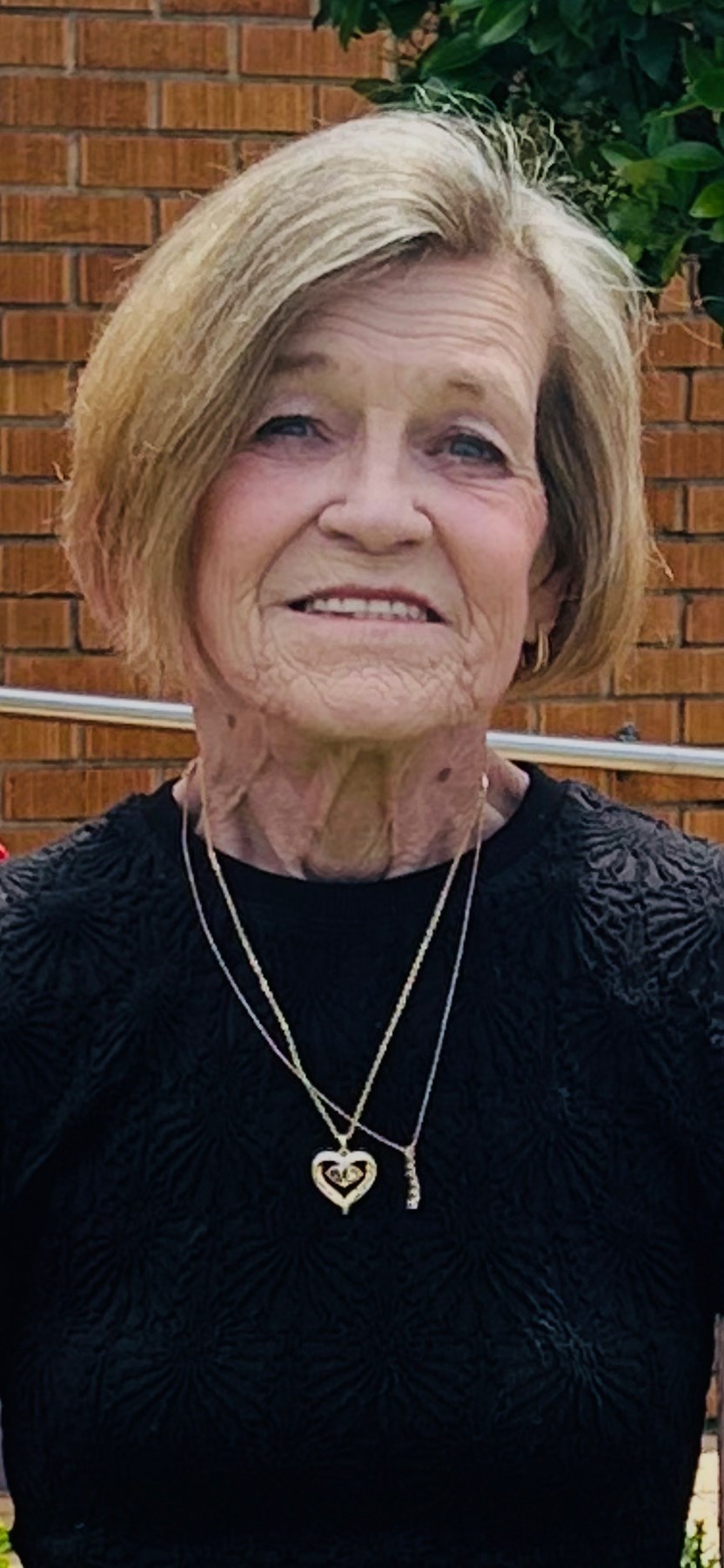 Obituary of Mary Lou Vice