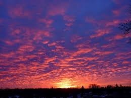 Obituary of Judith Downing Lothamer