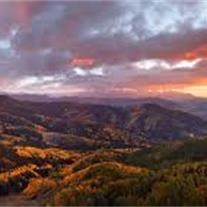 Obituary of Katherine Enrici Morgan