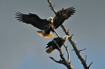 Obituary of Werner John HASIWAR