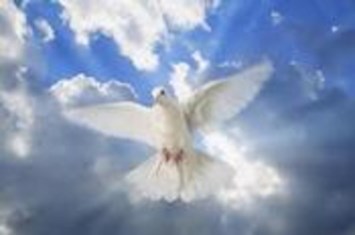 Obituary of Edward Patrick Foy