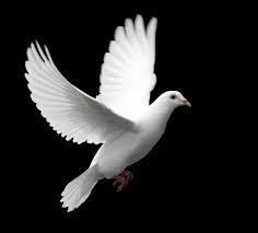 Obituario de William Joseph Slover