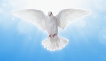 Obituary of Rene De Jesus Alvarado Ponce