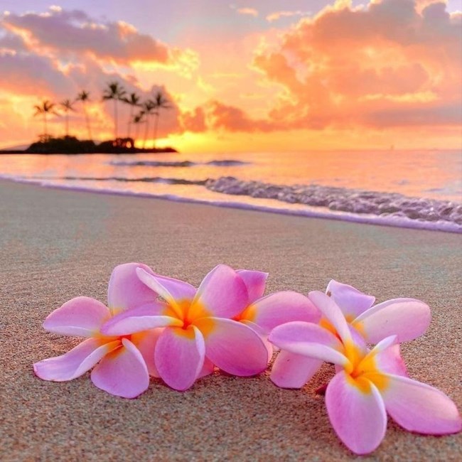 Obituary of Lata S Shenai