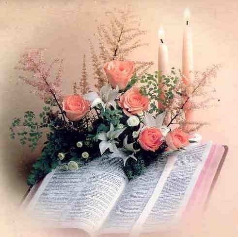 Obituary of Deanne Phaturos Jeames