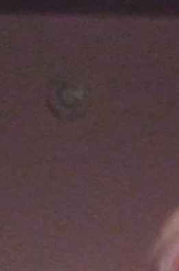 Harry Innes Todd Obituary - Phoenix, AZ