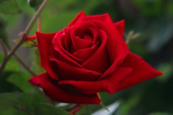 Obituary of Kathy Marie DeBerry
