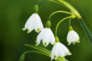 Obituario de Lowell Thomas Byers