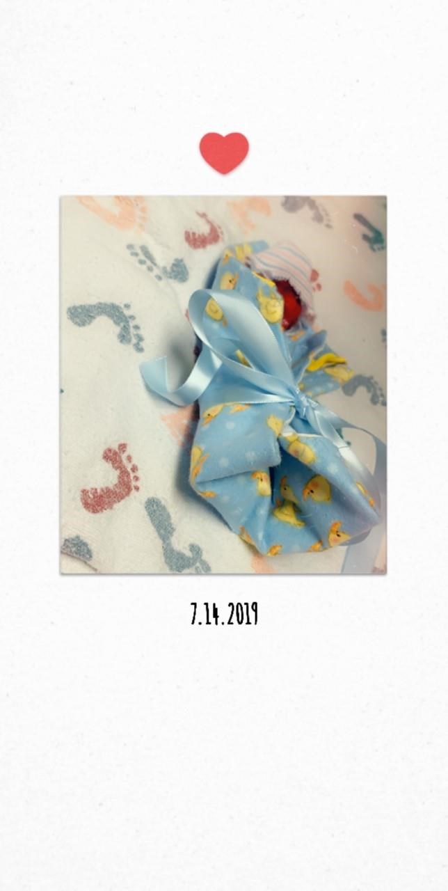 Obituary of Nathaniel Armonie Velasco