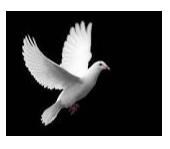 Obituary of Marina C Garcia