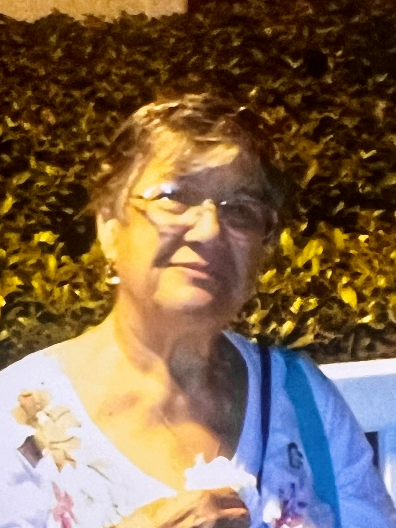 Obituary of Maryann LoCascio