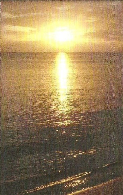 Obituary of Guillermo Rodriguez