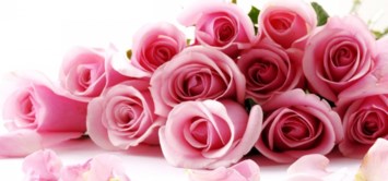 Obituary of Mrs. Patricia Lou Goodnight Rouse