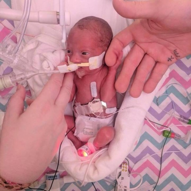 Obituary of Everleigh Violet Lorraine Pugh