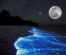 Obituary of John Francis McGrath Jr.