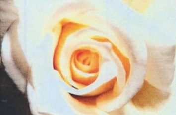 Obituary of Linda Ann Urbanczyk