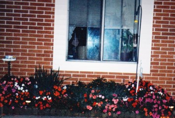 Obituary of Carol Lee Sessions