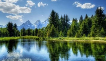 Obituary of Danny Charles Bryon Joyce