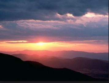 Obituary of Nargis A. Valliani