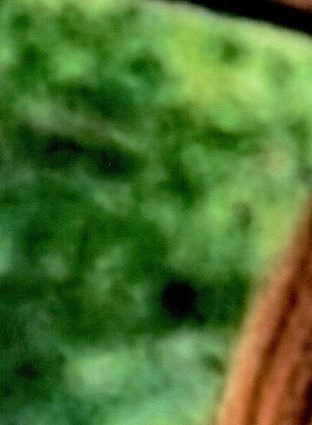 Free Lance Star Obituaries Fredericksburg Va