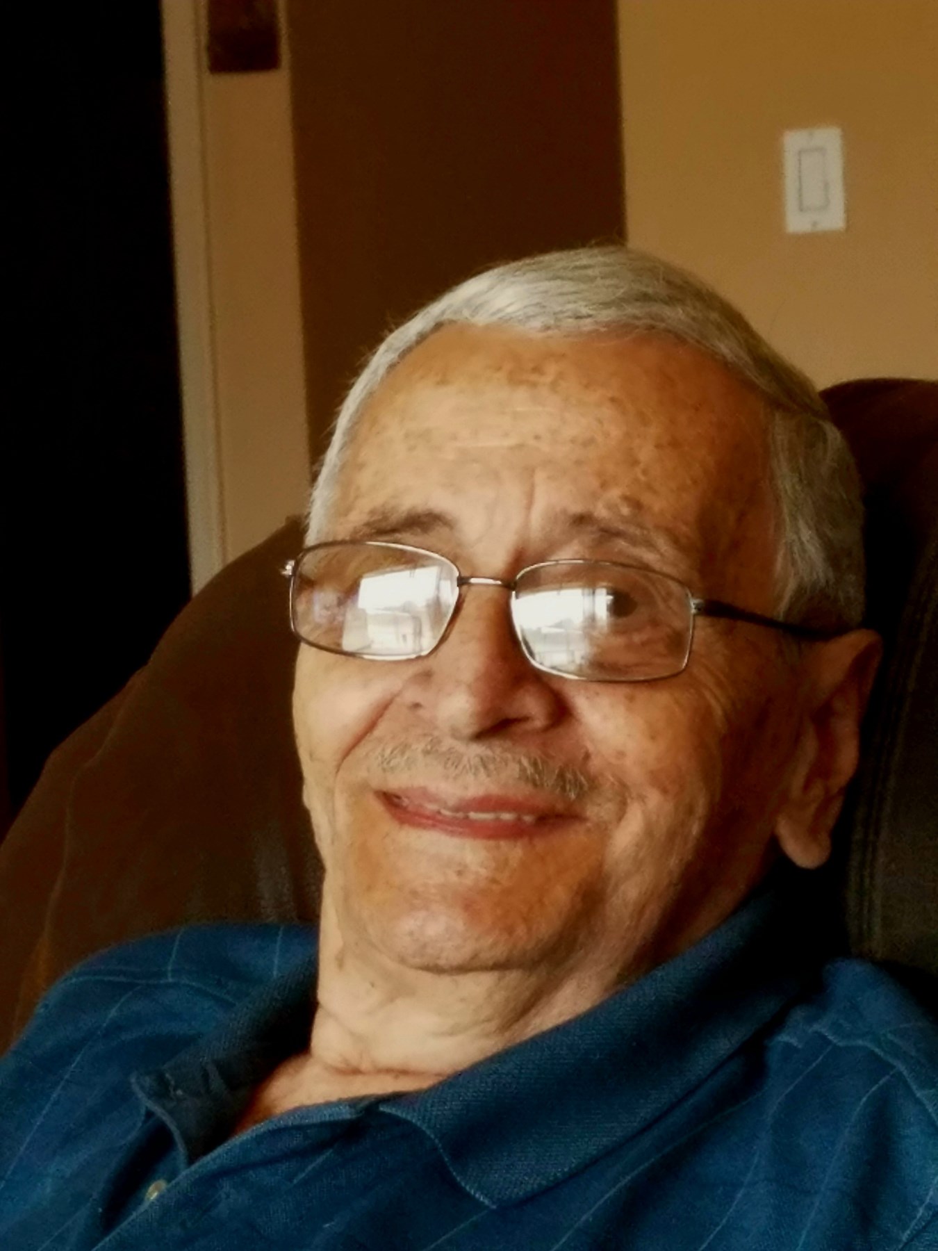 Obituary of Arie Levy