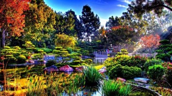 Obituary of Betty Sue Manuel