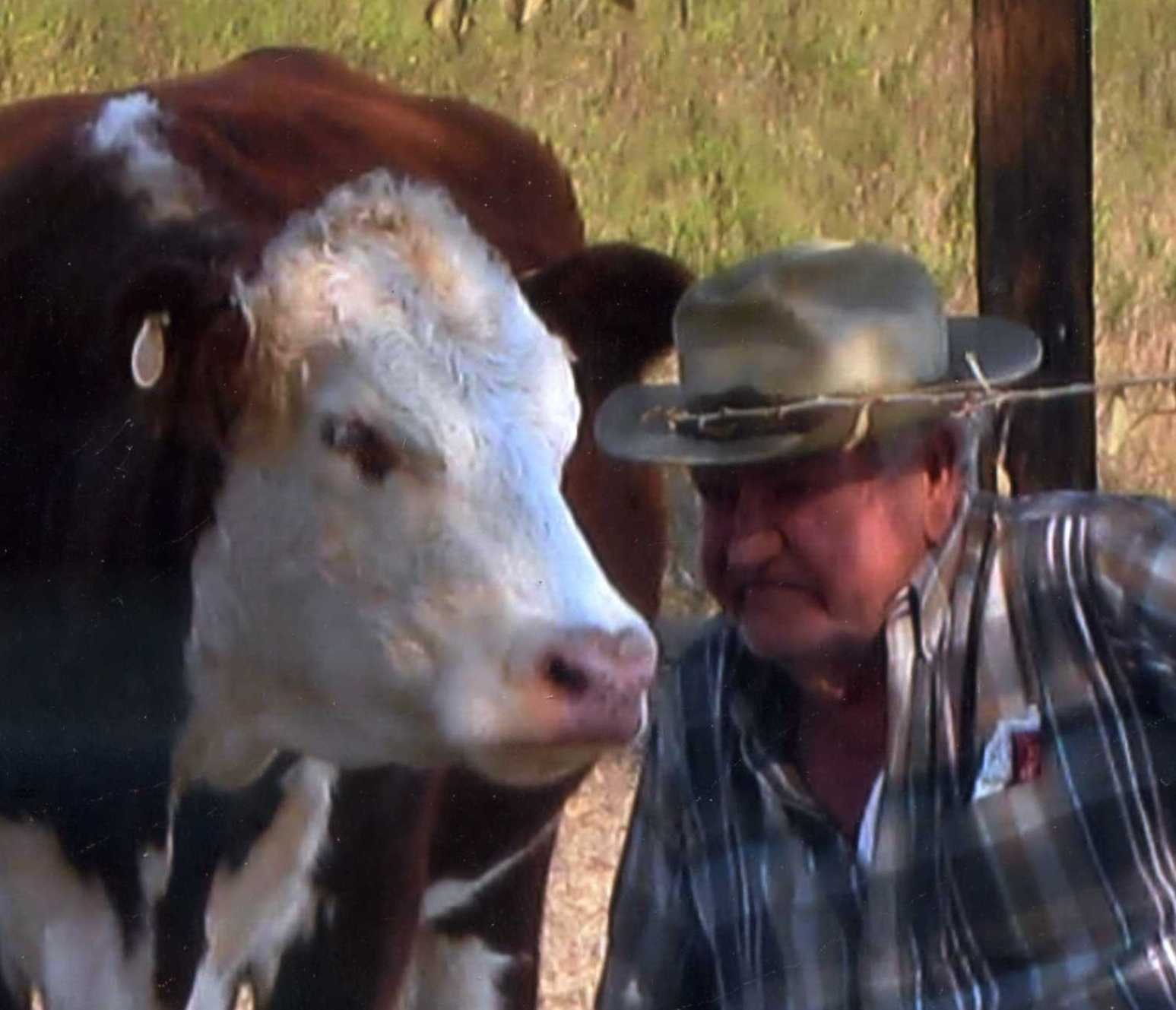 Obituary of Hershel W. "Cotton" Bolden