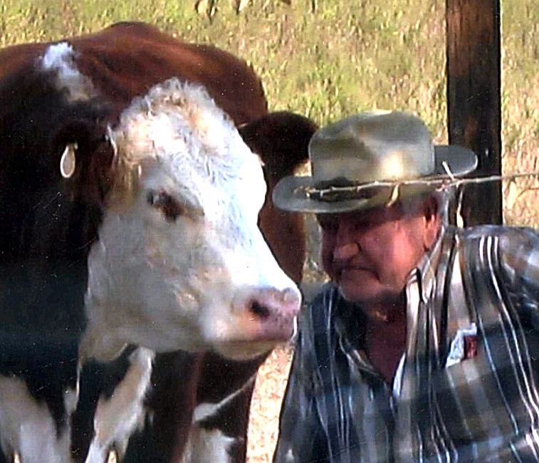 Obituary of Hershel W. "Cotton" Bolden