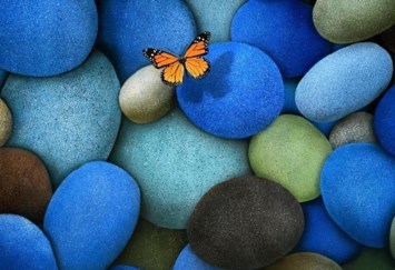 Obituary of Hugo Jose Alonso