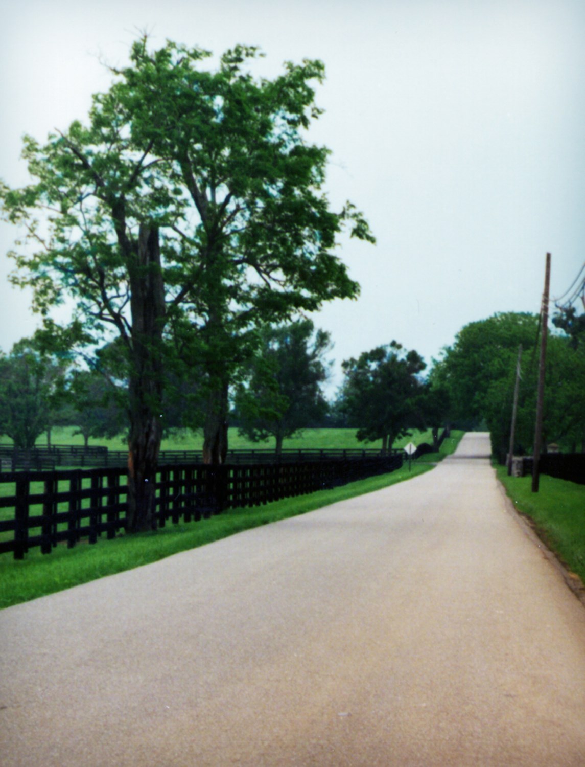 Obituary of Fredrick Hooghuis Jr.