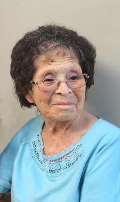 Obituary of Sylvia Valdenegro Chavez