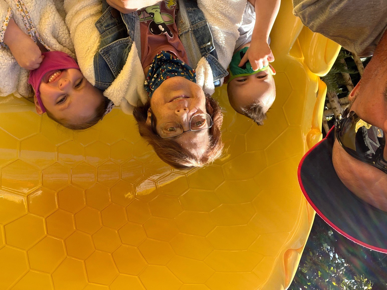 Obituary of Debra Ann Wood