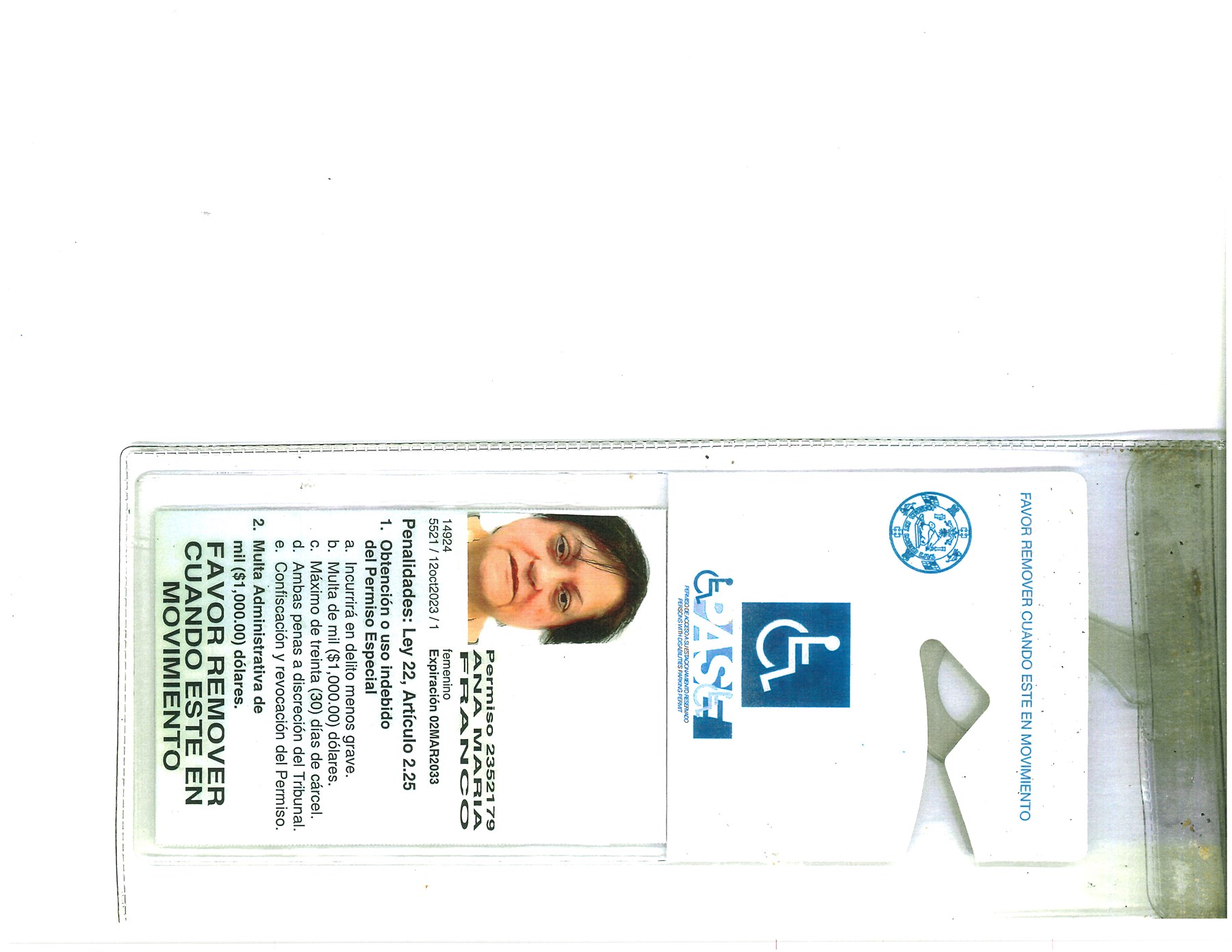 Obituary of Amparo Ana Maria Franco Irizarry