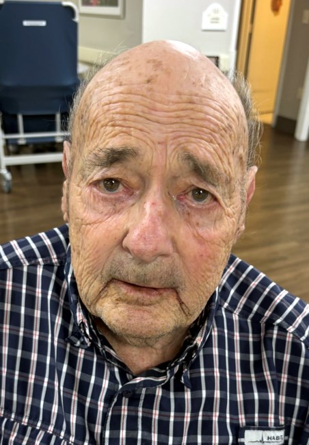 Obituary of Louis Leslie Babin Jr.