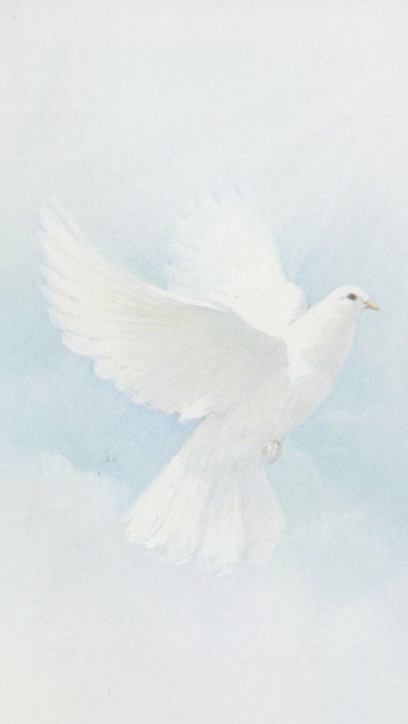 Obituary of Felix Ochoa