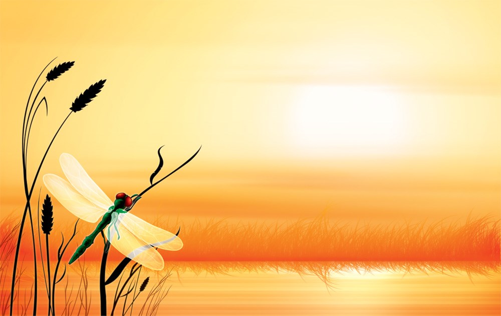 Obituary of John Louis "Jack" Ludy