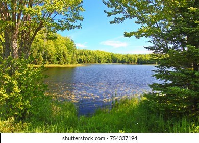 Obituary of Daryl Lynn Daniels