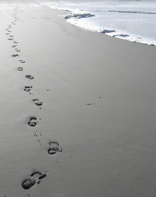 Obituary of Donald "Donnie" Russell Miller