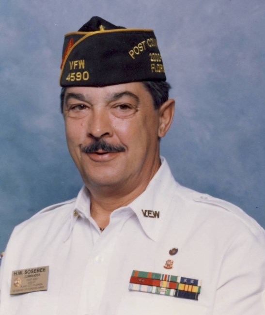 Obituary of Hayes Wilson Sosebee