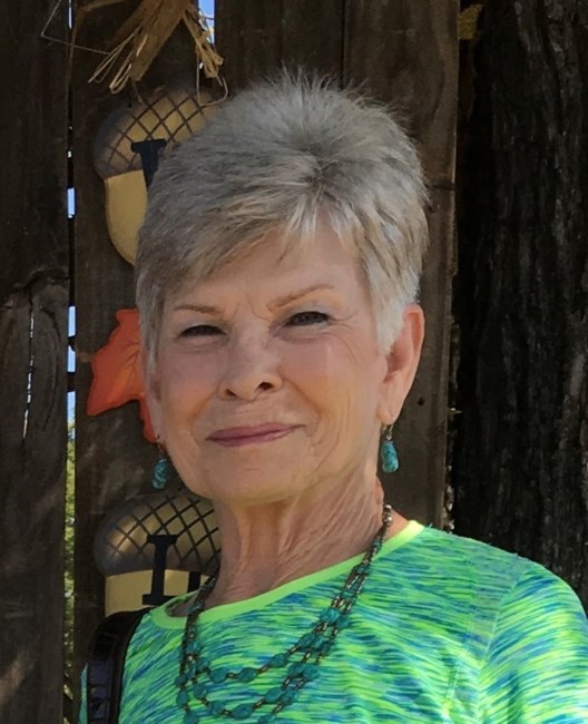 Obituary of Connie Elayne (Townsend) Pressley