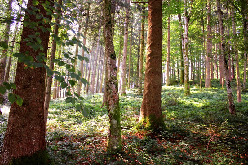 Paul T. Riley Jr. Obituary - New City, NY