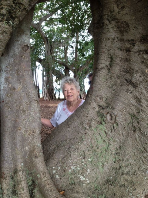 Obituary of Janis Ruth Moore