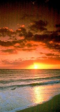 Obituary of Shelly Verbos-Ford