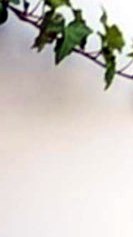 Daniel O'Connell Obituary - Westwood, NJ