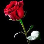 Obituary of Janina Theresa Cairns