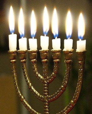 Obituary of Hedda Scheck